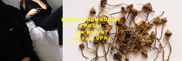 прущая мука Абаза